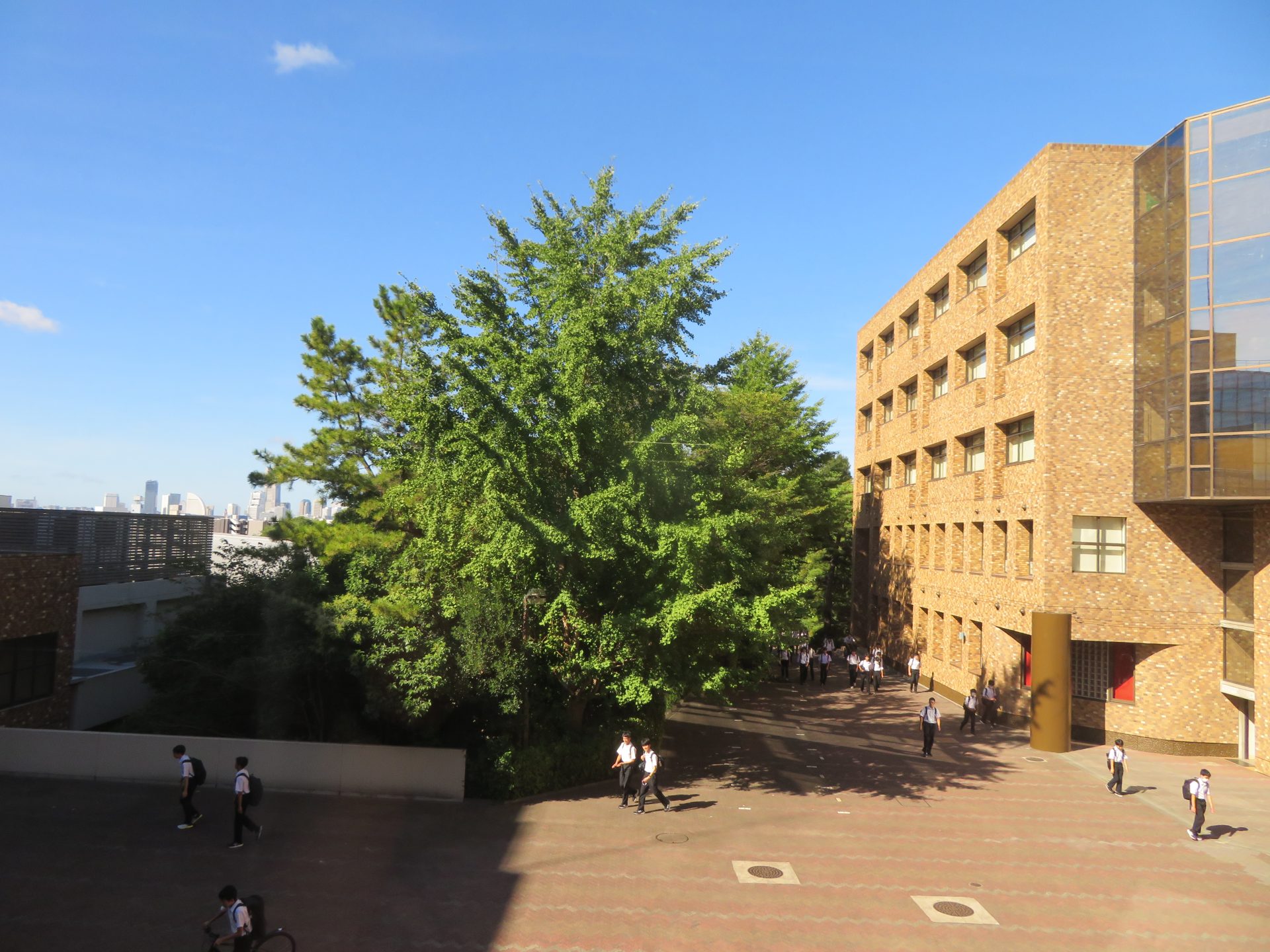 声の敎育社 2024年度用 武蔵中、海城中、栄光学園中、浅野中、芝中など　8冊 Amazon.co.jp: 浅野中学校 2024年度用 8年間スーパー過去問 （声